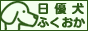 ybgpiƎq̔I