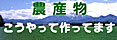農産物こうやって作ってます!